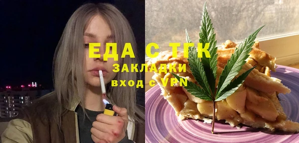 индика Бородино